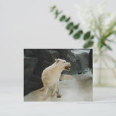 White Wolf Postkarte (Stehend Vorderseite)