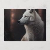 White-Wolf-Postkarten Postkarte (Vorderseite)