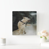 White Wolf Quadratische Wanduhr (Zuhause)