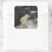 White Wolf Quadratischer Aufkleber (Tasche)