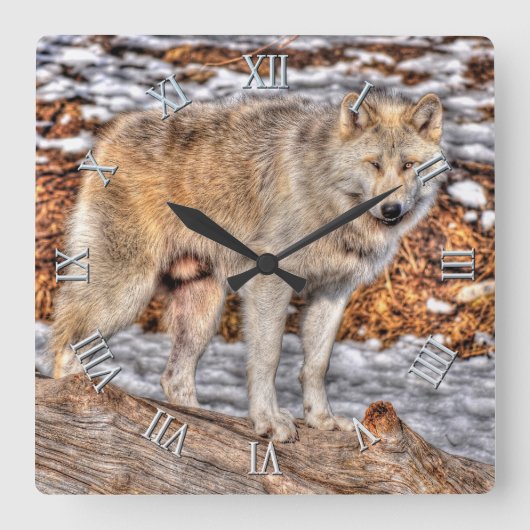 White Wolf, Schnee und Wildlife - Uhr (Vorderseite)