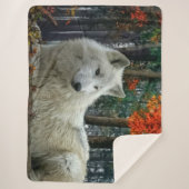 WHITE WOLF SHERPADECKE (Vorderseite)