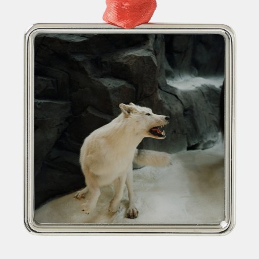 White Wolf Silbernes Ornament (Vorne)
