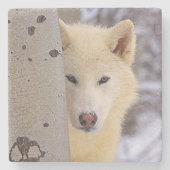 White Wolf Steinuntersetzer (Vorderseite)