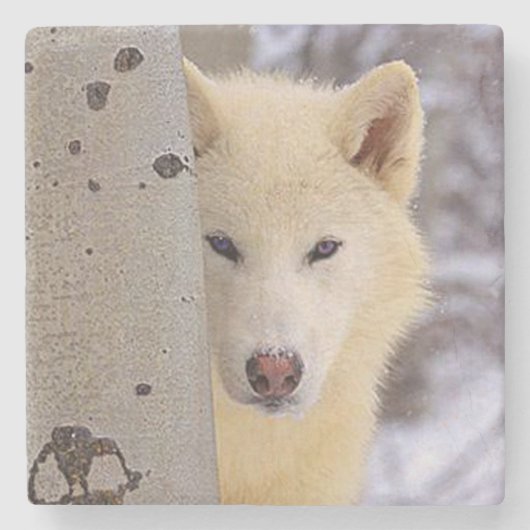 White Wolf Steinuntersetzer (Vorderseite)