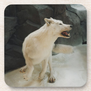 White Wolf Untersetzer