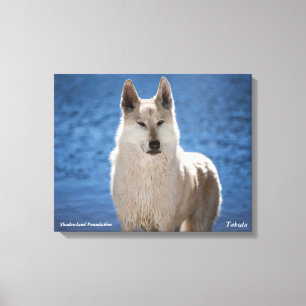 White Wolf Wrapped Canvas Leinwanddruck