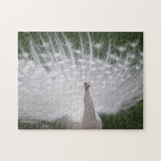 White Wonder Puzzle (Horizontal)