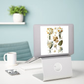 White Yellow Daffodils Spring Easter Wedding  Aufkleber (Laptop auf Schreibtisch)