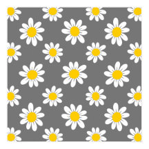 White Yellow Daisies