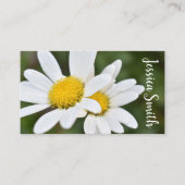 White Yellow Daisy Blume Daisies Nature Foto Visitenkarte (Vorderseite)