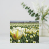 White Yellow Tulips Landscape DIY Postkarte (Stehend Vorderseite)