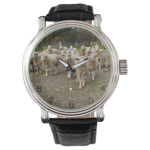 White Young Wooly Sheep, Armbanduhr