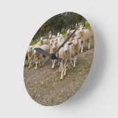 White Young Wooly Sheep, Runde Wanduhr (Winkel)