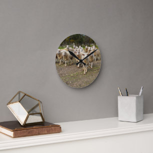White Young Wooly Sheep, Runde Wanduhr
