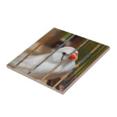 White Zebra Finch Bird in Cage Fliese (Seite)