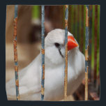 White Zebra Finch Bird in Cage Kopftuch<br><div class="desc">2023</div>