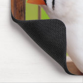 White Zebra Finch Bird in Cage Mousepad (Ecke)