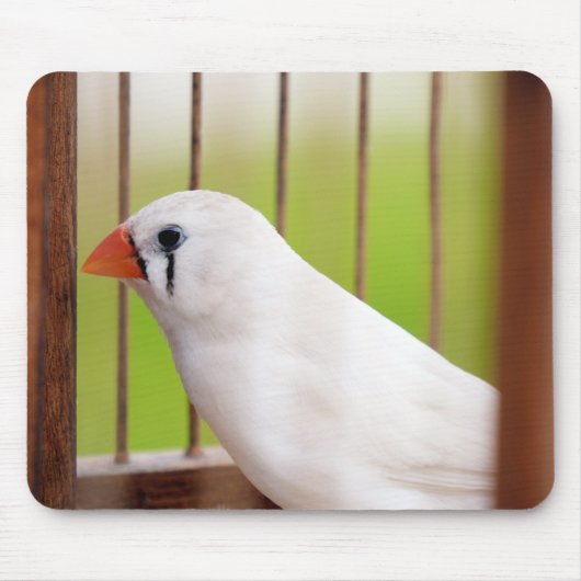 White Zebra Finch Bird in Cage Mousepad (Vorne)