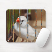 White Zebra Finch Bird in Cage Mousepad (Mit Mouse)