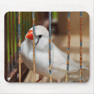 White Zebra Finch Bird in Cage Mousepad