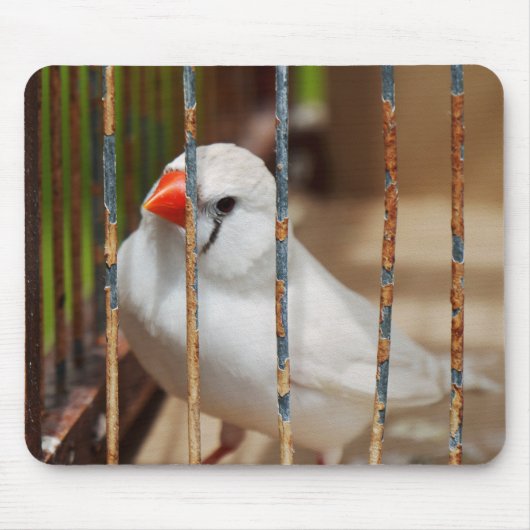 White Zebra Finch Bird in Cage Mousepad (Vorne)