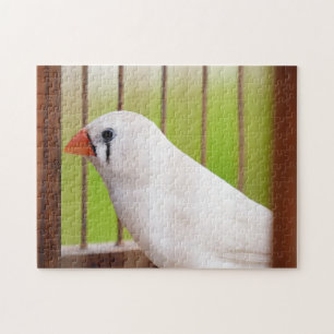 White Zebra Finch Bird in Cage Puzzle
