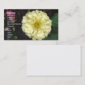 White Zinnia Visitenkarte (Vorne/Hinten)