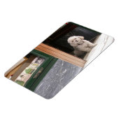 White Zwarf Poodle Magnet (Linke Seite)