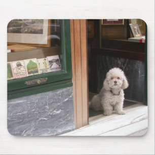 White Zwarf Poodle Mousepad