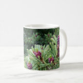 Whitebark Kiefern-Kegel-Tasse Kaffeetasse (VorderseiteRechts)