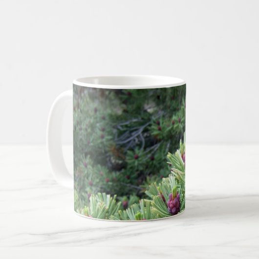 Whitebark Kiefern-Kegel-Tasse Kaffeetasse (Vorderseite Links)