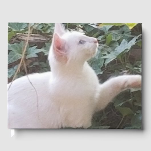 whitecat GuestBook Gästebuch (Vorderseite)