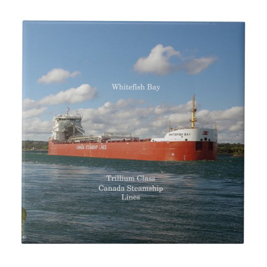Whitefish Bay Fliesen (Vorderseite)
