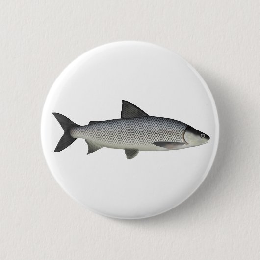 Whitefish Button (Vorderseite)