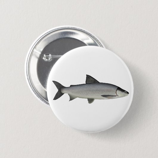 Whitefish Button (Vorne & Hinten)