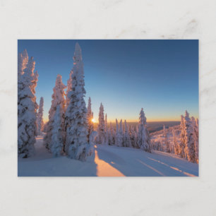 Whitefish, Montana Postkarte