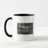 Whitefish, Montana - Whitefish Lake Golf Course Tasse (Links)