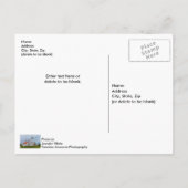 Whitefish Point Lighthouse Postkarte (Rückseite)