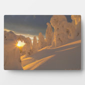 Whitefish Range | Weißfisch, Montana Fotoplatte (Vorderseite)