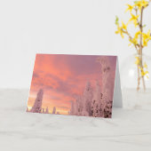 Whitefish Range | Weißfisch, Montana Karte (Gelbe Blume)