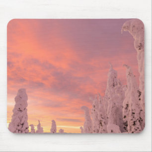 Whitefish Range Weißfisch, Montana Mousepad