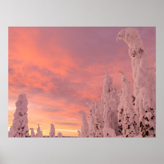 Whitefish Range | Weißfisch, Montana Poster (Vorne)