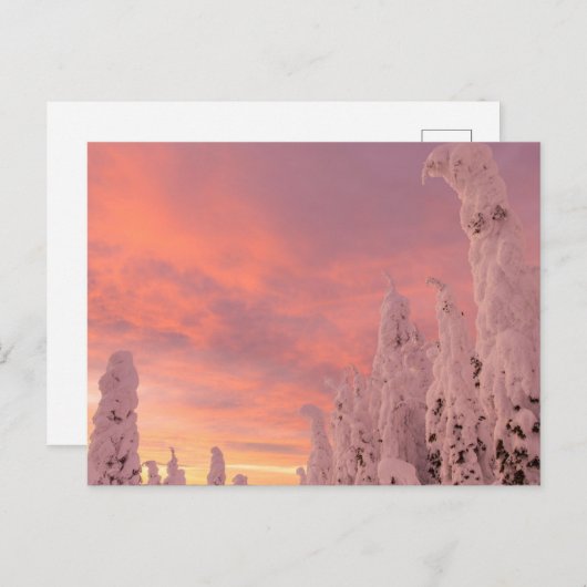 Whitefish Range | Weißfisch, Montana Postkarte (Vorne/Hinten)