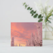 Whitefish Range | Weißfisch, Montana Postkarte (Stehend Vorderseite)