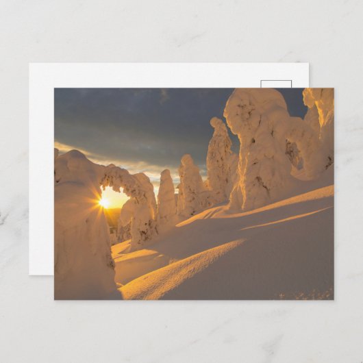 Whitefish Range | Weißfisch, Montana Postkarte (Vorne/Hinten)