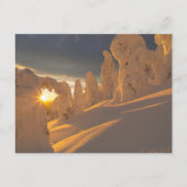 Whitefish Range | Weißfisch, Montana Postkarte (Vorderseite)