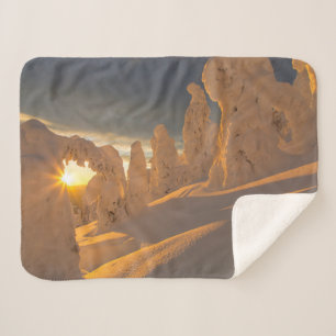 Whitefish Range   Weißfisch, Montana Sherpadecke