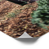 Whitefly-Kontrolle Poster (Ecke)