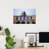 Whitefly-Kontrolle Poster (Heimbüro)